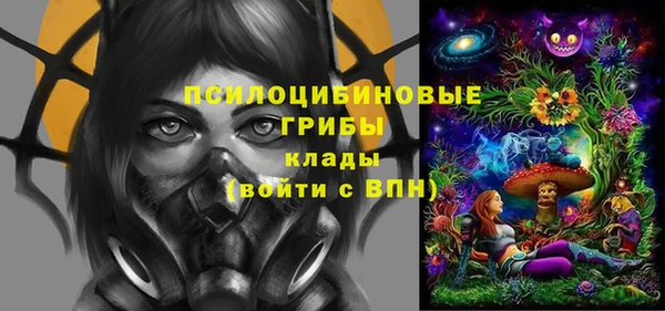 стафф Верея