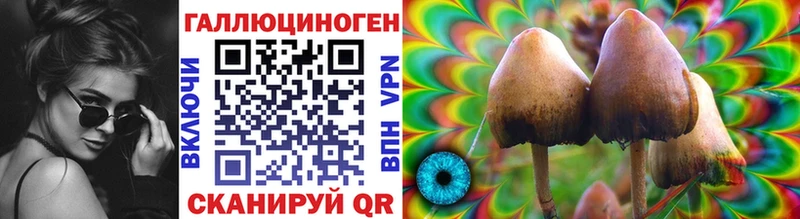 наркотики  Оха  Псилоцибиновые грибы Psilocybine cubensis 